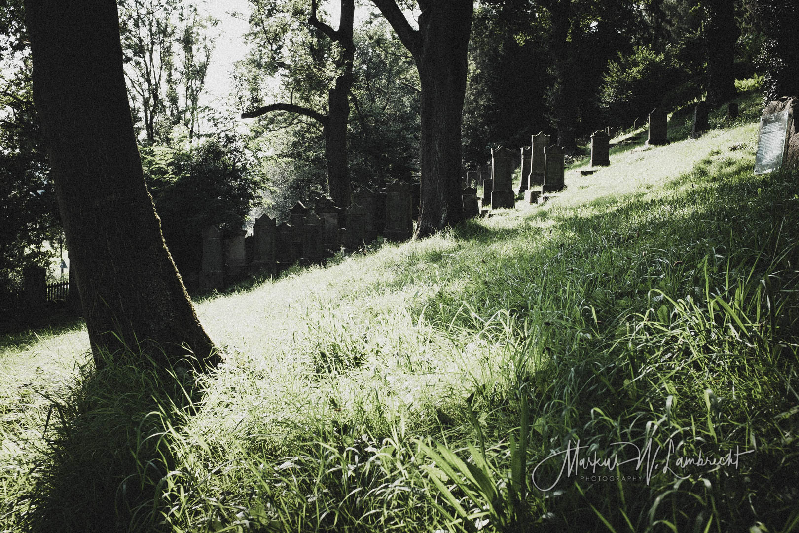 Adelebsen, Jüdischer Friedhof